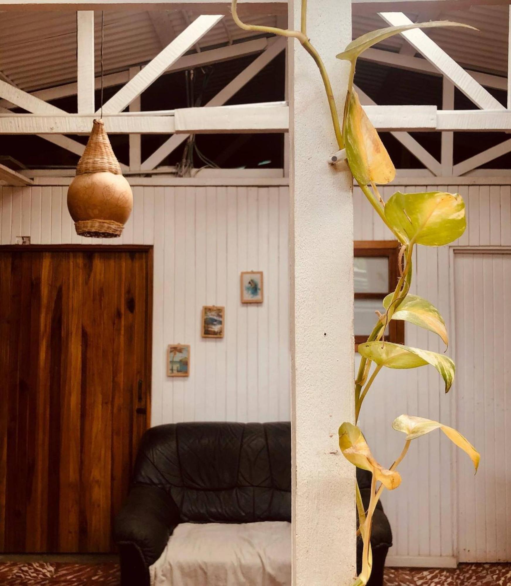 Puerto Viejo de Talamanca Roots Family旅舍 外观 照片