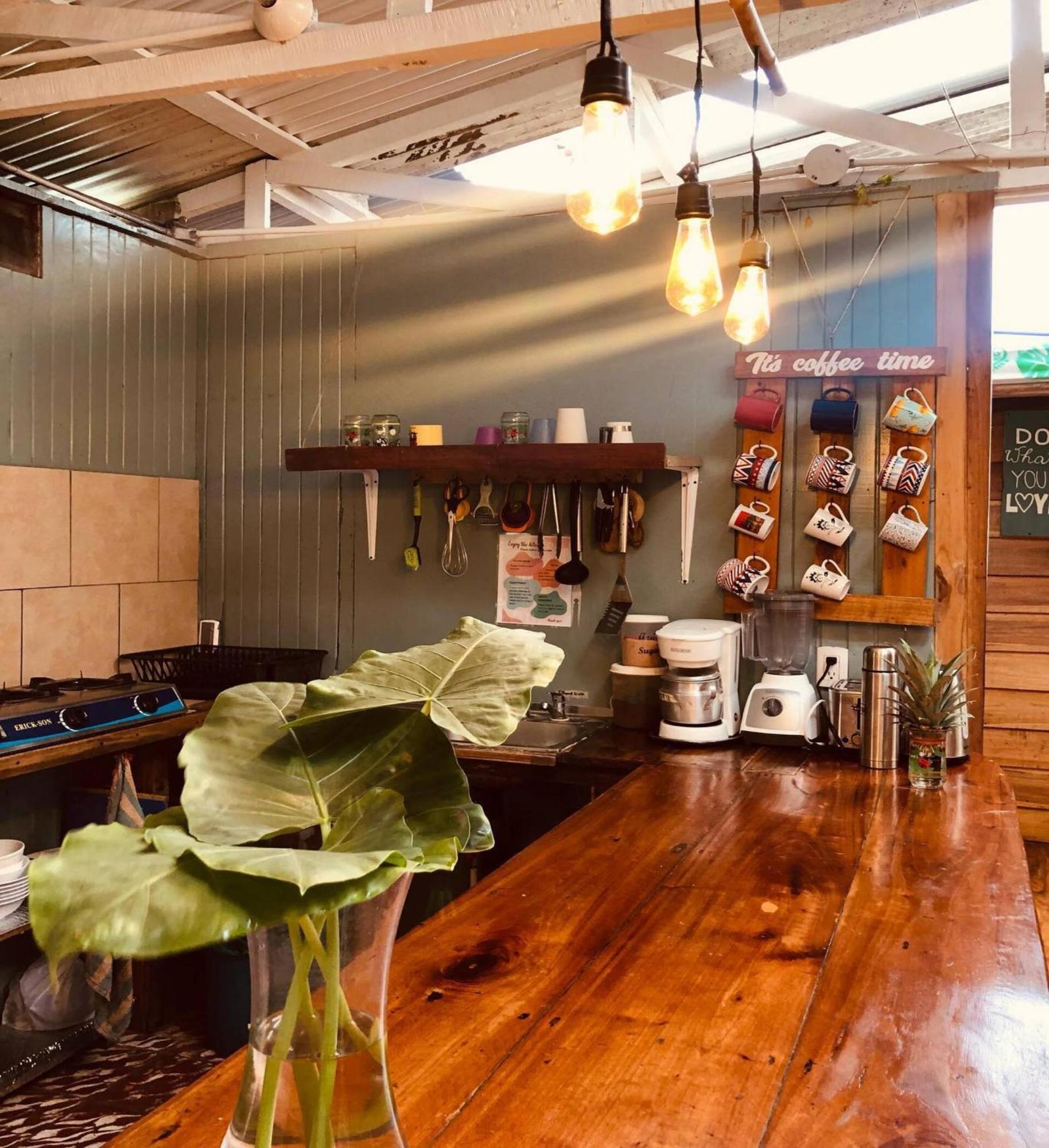 Puerto Viejo de Talamanca Roots Family旅舍 外观 照片