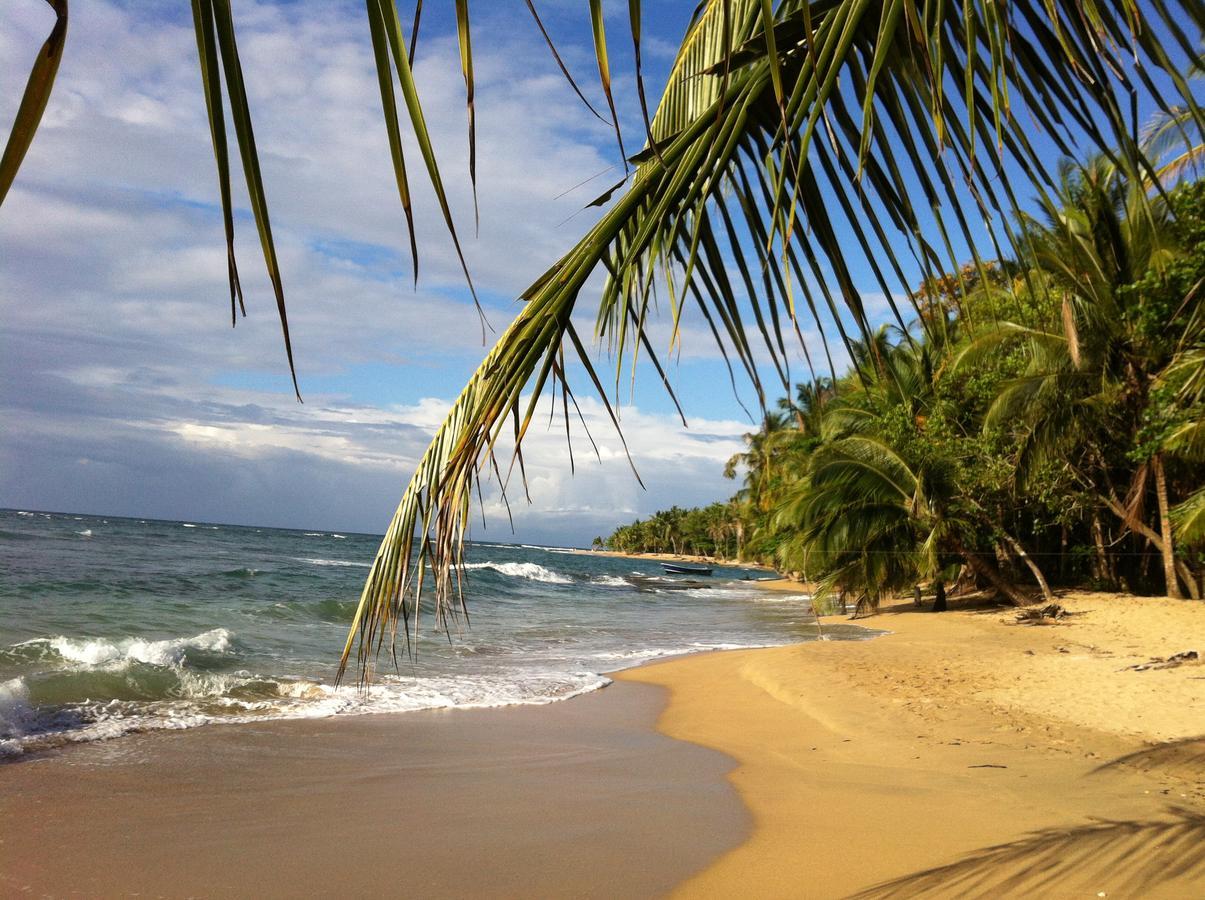 Puerto Viejo de Talamanca Roots Family旅舍 外观 照片